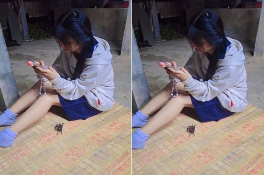 Sanh chỗ đẻ nhưng lại vét rốn cho thằng bạn